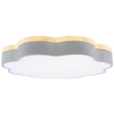 Потолочный светильник Axel 10225/36 Grey