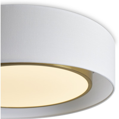 Потолочный светильник Cozy FR6170CL-L52BS