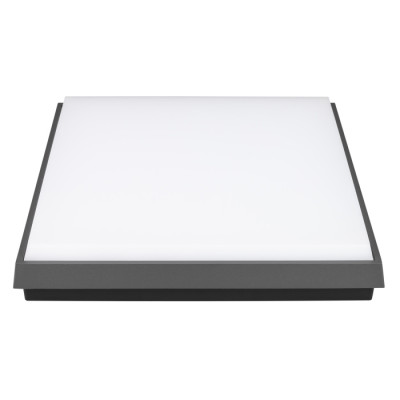 Потолочный светильник уличный AREA 032428