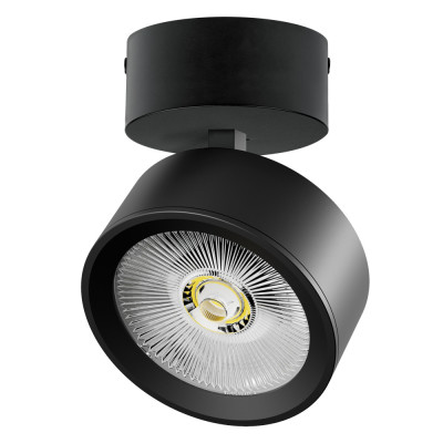 Спот Alta Pro A5647SO