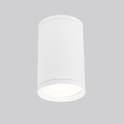 Потолочный светильник уличный Light 35128/H белый