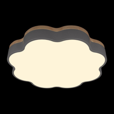 Потолочный светильник Axel 10225/36 Grey