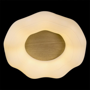 Потолочный светильник  01029-0.3-01 WOOD