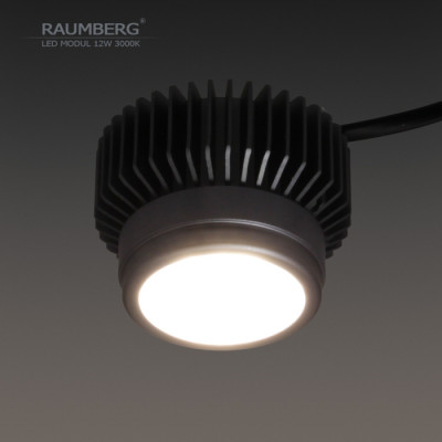 Светодиодный модуль  Raumberg12W3000K
