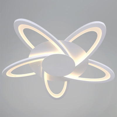 Потолочный светильник  06529-0.3-05 WH