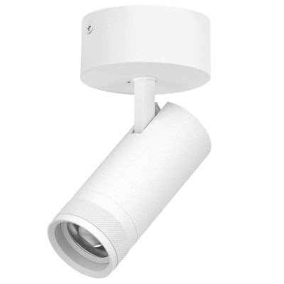 Спот Canno Pro C4206SO