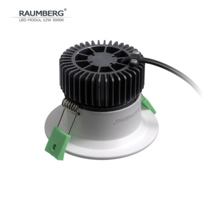 Светодиодный модуль  Raumberg12W3000K