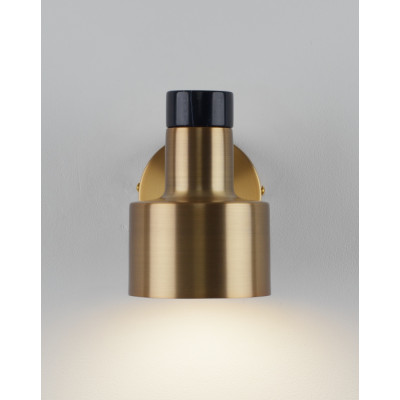 Спот Goldy V11313-1W