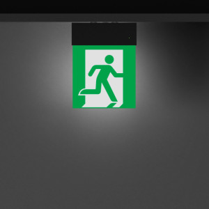 Аварийный светильник EMERGENCY 059801