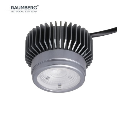 Светодиодный модуль  Raumberg12W3000K