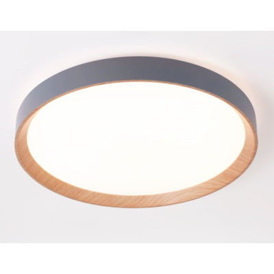 Потолочный светильник Orbital FZ1322