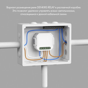 Wi-Fi реле Relay RL1003-DM/1